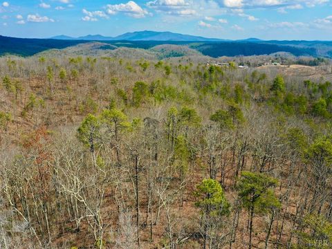 Tiny photo for 0 14528 Lee Jackson Hwy Hwy, Big Island, VA 24526 (MLS # 365006)