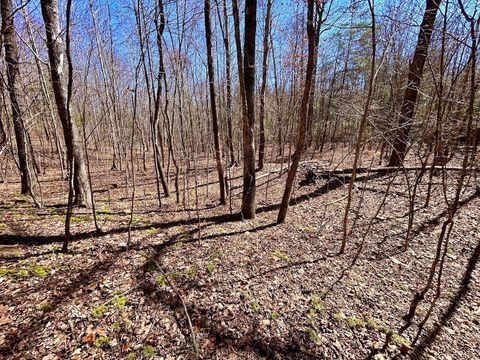 Tiny photo for 0 14528 Lee Jackson Hwy Hwy, Big Island, VA 24526 (MLS # 365006)