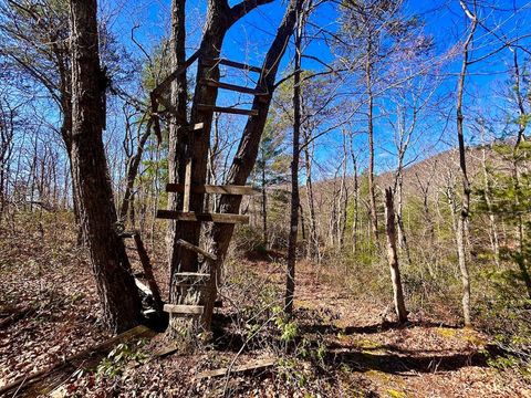 Tiny photo for 0 14528 Lee Jackson Hwy Hwy, Big Island, VA 24526 (MLS # 365006)