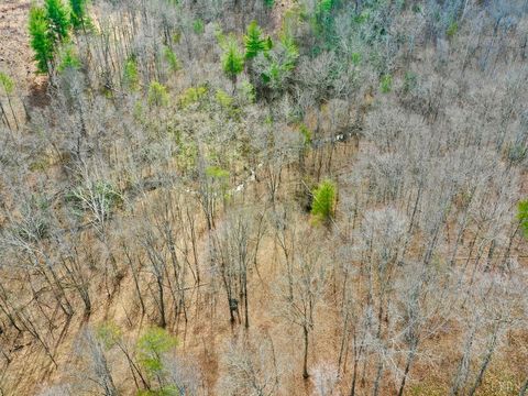 Tiny photo for 0 14528 Lee Jackson Hwy Hwy, Big Island, VA 24526 (MLS # 365006)