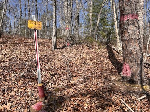 Tiny photo for 0 14528 Lee Jackson Hwy Hwy, Big Island, VA 24526 (MLS # 365006)