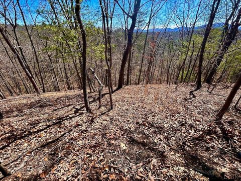 Tiny photo for 0 14528 Lee Jackson Hwy Hwy, Big Island, VA 24526 (MLS # 365006)