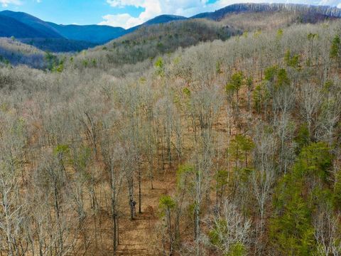 Tiny photo for 0 14528 Lee Jackson Hwy Hwy, Big Island, VA 24526 (MLS # 365006)