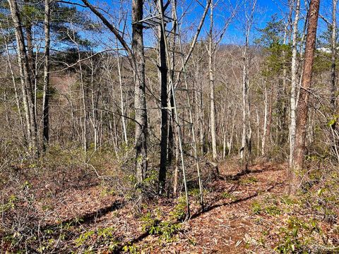 Tiny photo for 0 14528 Lee Jackson Hwy Hwy, Big Island, VA 24526 (MLS # 365006)