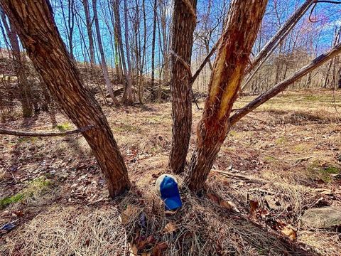 Tiny photo for 0 14528 Lee Jackson Hwy Hwy, Big Island, VA 24526 (MLS # 365006)