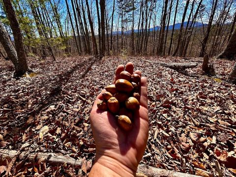 Tiny photo for 0 14528 Lee Jackson Hwy Hwy, Big Island, VA 24526 (MLS # 365006)