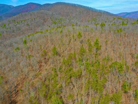 Tiny photo for 0 14528 Lee Jackson Hwy Hwy, Big Island, VA 24526 (MLS # 365006)