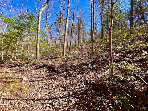 Tiny photo for 0 14528 Lee Jackson Hwy Hwy, Big Island, VA 24526 (MLS # 365006)