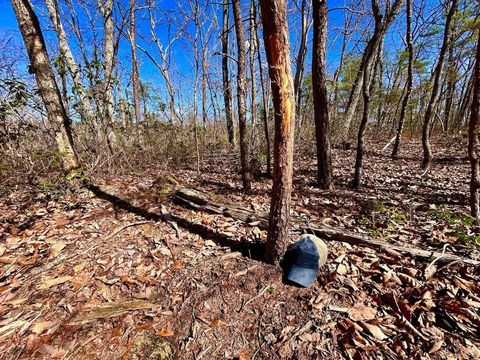 Tiny photo for 0 14528 Lee Jackson Hwy Hwy, Big Island, VA 24526 (MLS # 365006)