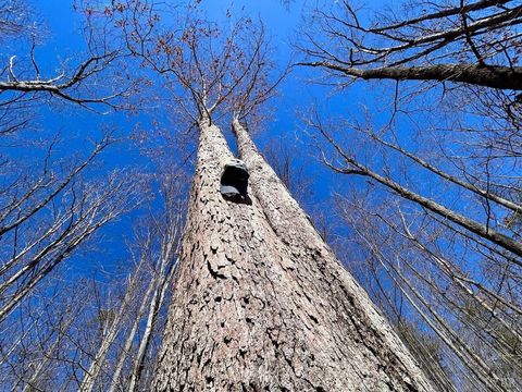 Tiny photo for 0 14528 Lee Jackson Hwy Hwy, Big Island, VA 24526 (MLS # 365006)