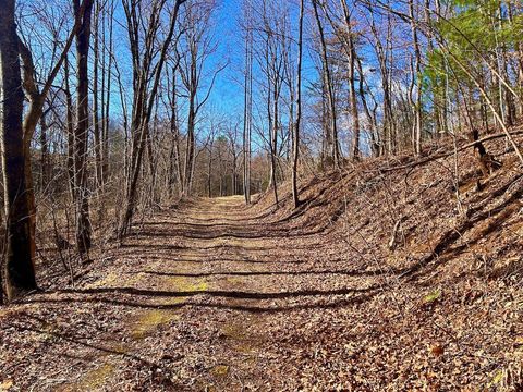 Tiny photo for 0 14528 Lee Jackson Hwy Hwy, Big Island, VA 24526 (MLS # 365006)