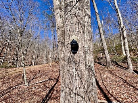 Tiny photo for 0 14528 Lee Jackson Hwy Hwy, Big Island, VA 24526 (MLS # 365006)