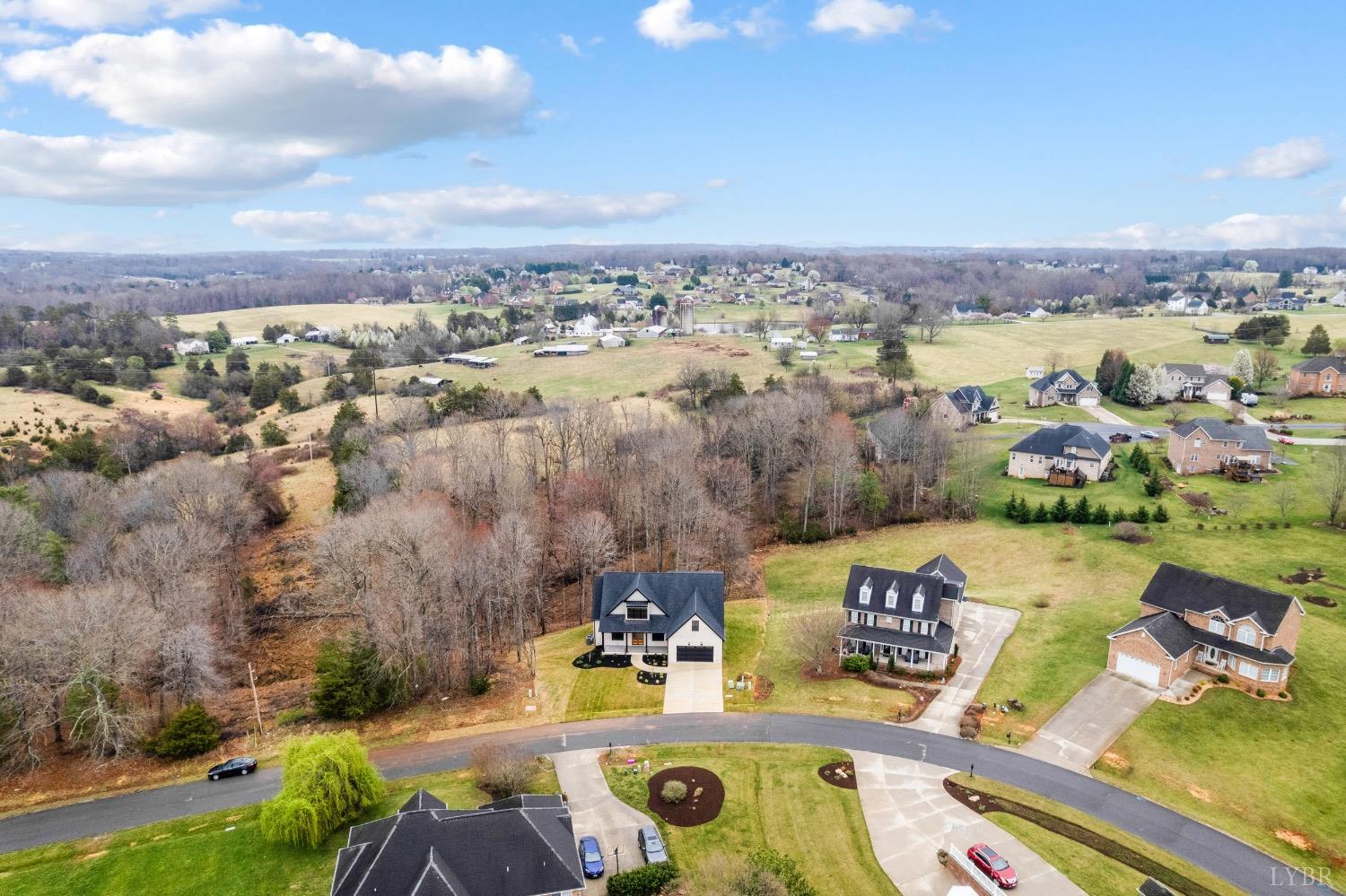 1065 Cedar Fox Ct, Forest, Virginia image 8