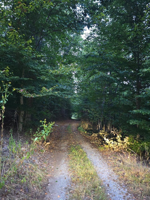 Vacant Land For Sale - Rocky Ford Road<br/> Moneta, VA 24121