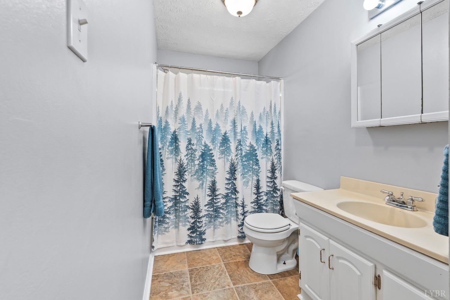 8968 Oakville Road, Gladstone, Virginia image 14