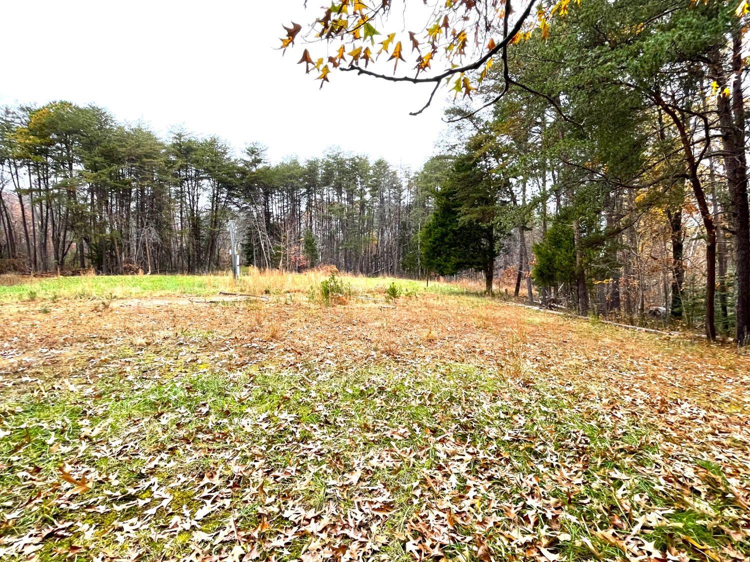 Dickerson Mill Road, Moneta, Virginia image 13