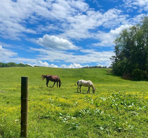 Tiny photo for 801 Purdum Mill Road, Appomattox, VA 24522 (MLS # 364819)