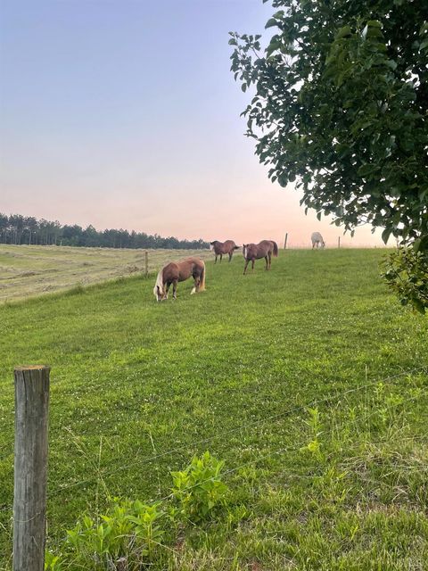 Tiny photo for 801 Purdum Mill Road, Appomattox, VA 24522 (MLS # 364819)