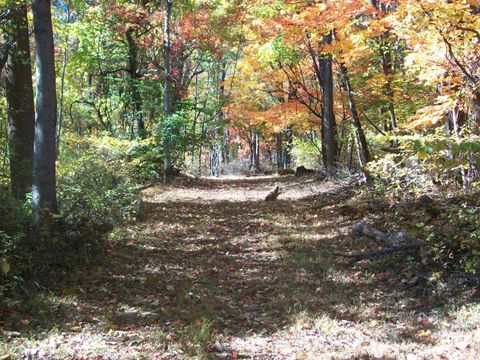 Tiny photo for 0 Old Stoney Creek, Nellysford, VA 22958 (MLS # 363654)