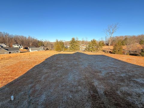 Tiny photo for 1100 Live Oak Court, Forest, VA 24551 (MLS # 363967)