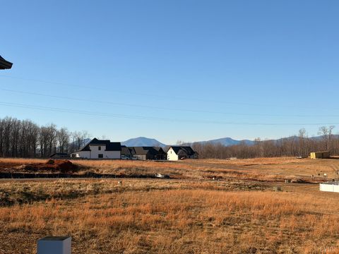 Tiny photo for 1100 Live Oak Court, Forest, VA 24551 (MLS # 363967)