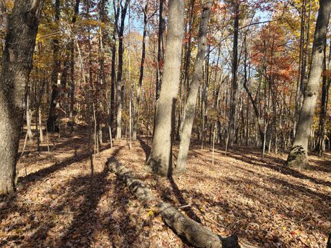 Tiny photo for 0 Ashwell Ridge Drive, Huddleston, VA 24104 (MLS # 362896)