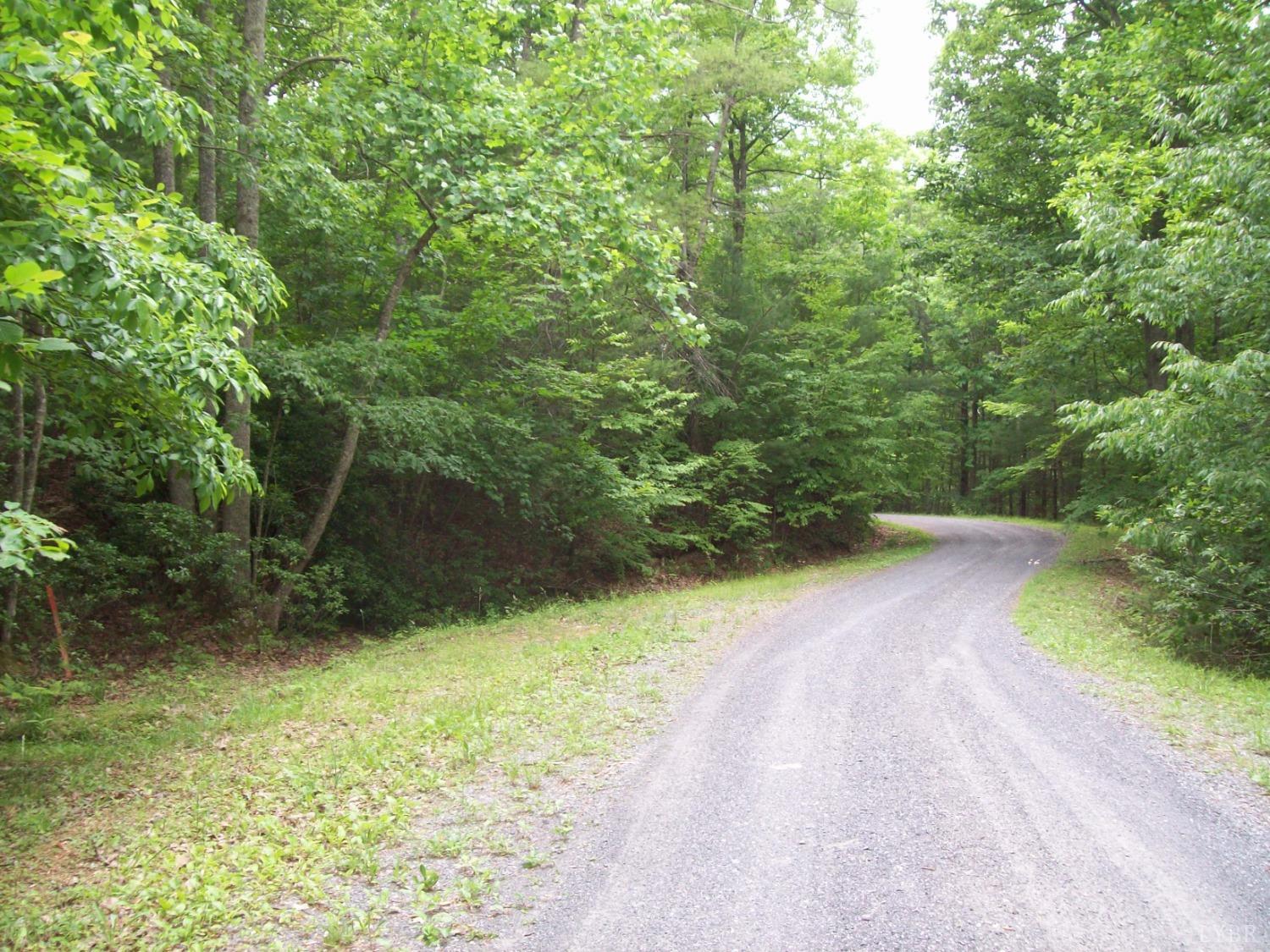 1 Laurel Hollow Rd, Vesuvius, Virginia image 13