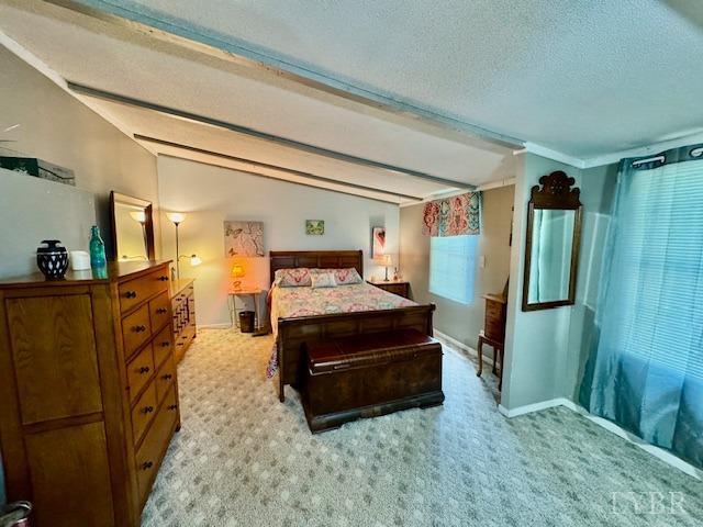 3164 Trent Hatchery Road, Appomattox, Virginia image 17