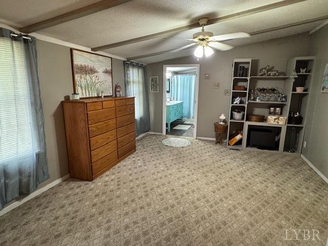3164 Trent Hatchery Road, Appomattox, Virginia image 18