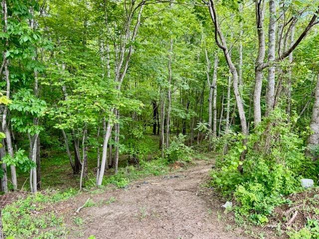 3164 Trent Hatchery Road, Appomattox, Virginia image 28
