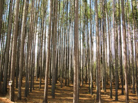 Tiny photo for 3324 Laurel Road, Shipman, VA 22971 (MLS # 364676)