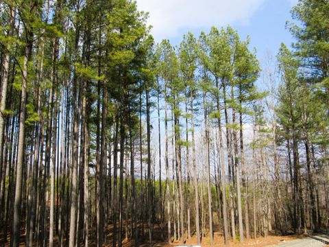 Tiny photo for 3324 Laurel Road, Shipman, VA 22971 (MLS # 364676)