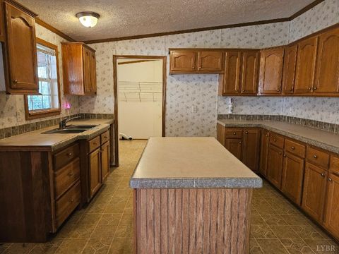Tiny photo for 222 Cove Mountain Lane, Buchanan, VA 24066 (MLS # 364864)
