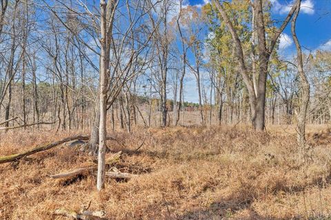 Tiny photo for 5050 Falkland Road, Scottsburg, VA 24589 (MLS # 363201)