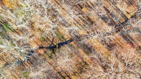 Tiny photo for 5050 Falkland Road, Scottsburg, VA 24589 (MLS # 363201)