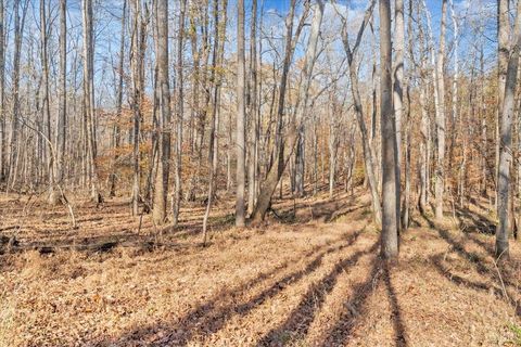 Tiny photo for 5050 Falkland Road, Scottsburg, VA 24589 (MLS # 363201)