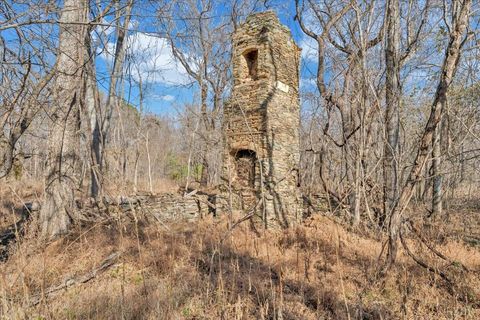 Tiny photo for 5050 Falkland Road, Scottsburg, VA 24589 (MLS # 363201)