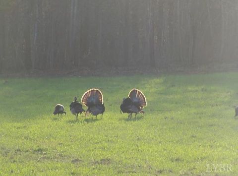 Tiny photo for 5050 Falkland Road, Scottsburg, VA 24589 (MLS # 363201)