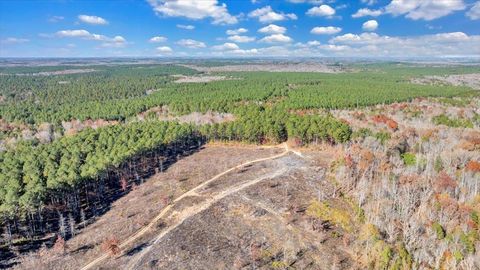 Tiny photo for 5050 Falkland Road, Scottsburg, VA 24589 (MLS # 363201)