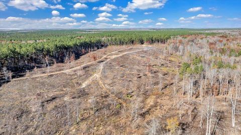 Tiny photo for 5050 Falkland Road, Scottsburg, VA 24589 (MLS # 363201)