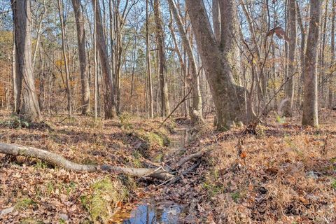 Tiny photo for 5050 Falkland Road, Scottsburg, VA 24589 (MLS # 363201)