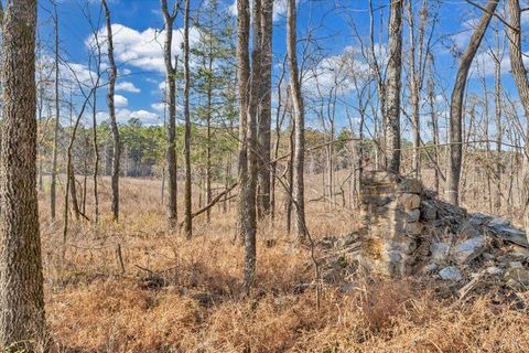 Tiny photo for 5050 Falkland Road, Scottsburg, VA 24589 (MLS # 363201)