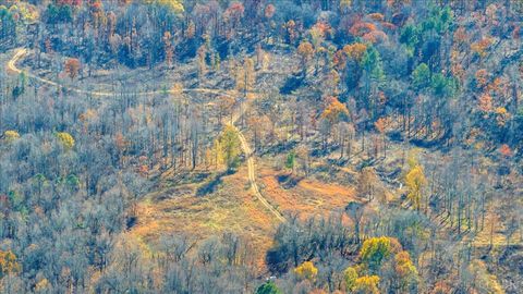 Tiny photo for 5050 Falkland Road, Scottsburg, VA 24589 (MLS # 363201)