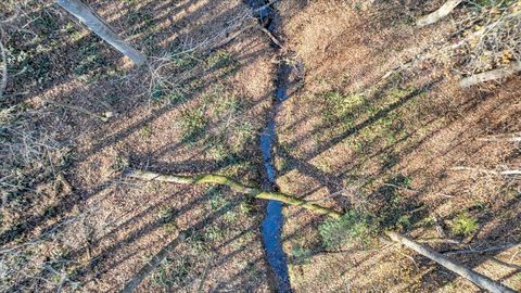 Tiny photo for 5050 Falkland Road, Scottsburg, VA 24589 (MLS # 363201)