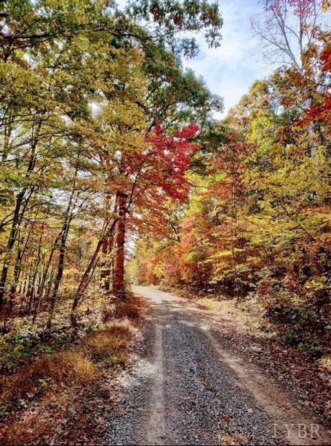 Tiny photo for 5050 Falkland Road, Scottsburg, VA 24589 (MLS # 363201)