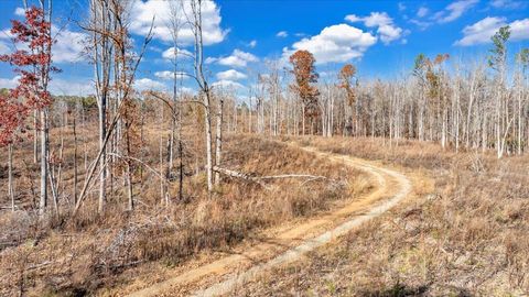 Tiny photo for 5050 Falkland Road, Scottsburg, VA 24589 (MLS # 363201)