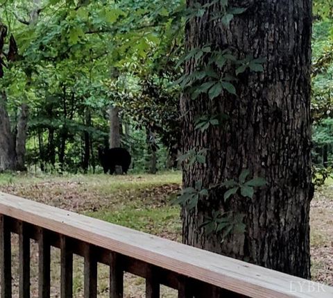 Tiny photo for 5050 Falkland Road, Scottsburg, VA 24589 (MLS # 363201)