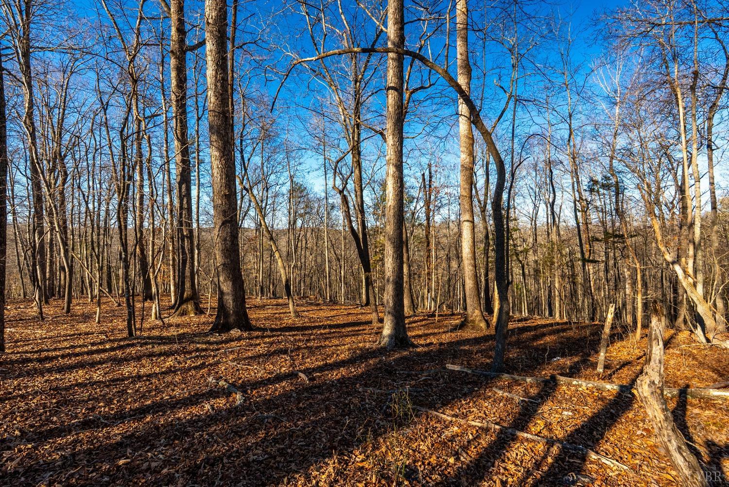2 Cottage Charm Road, Goode, Virginia image 25