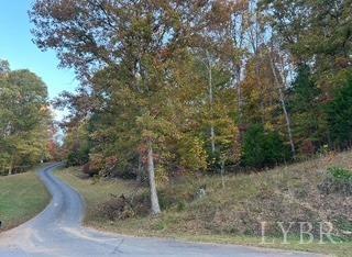 2 Cottage Charm Road, Goode, Virginia image 16