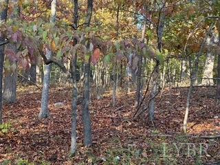 2 Cottage Charm Road, Goode, Virginia image 14